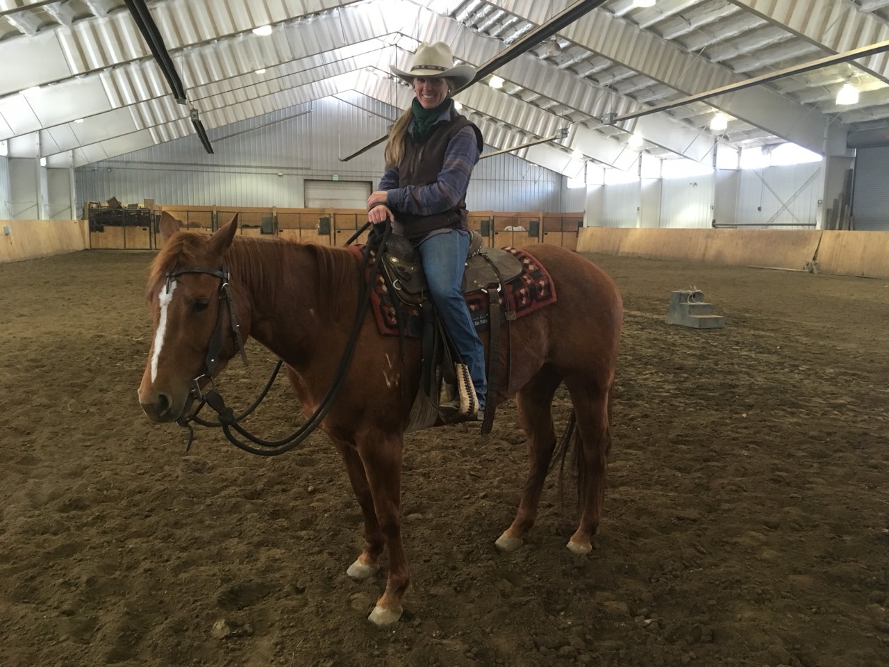 Mandy riding a chestnut horse in an indoor arena